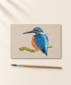 Ansichtkaart Ijsvogel