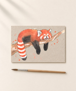 Ansichtkaart rode Panda